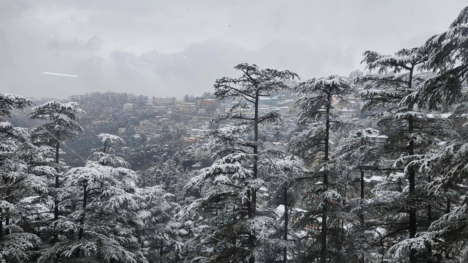 Mountain Zest- Simla Royale Near Mall Road Free Pickup From Railway Station Simla 외부 사진